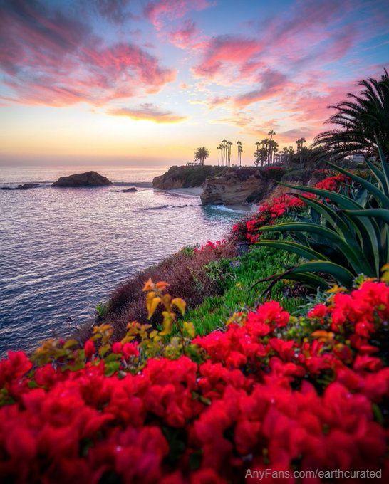 Laguna Beach, California 🍃