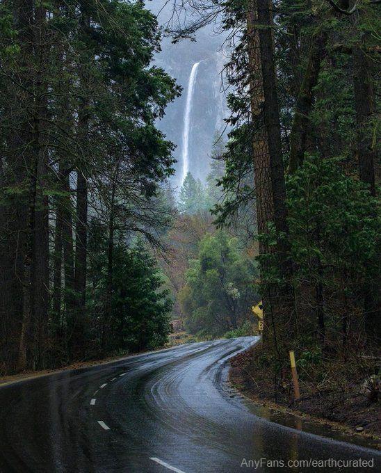 Yosemite road trip 🍃