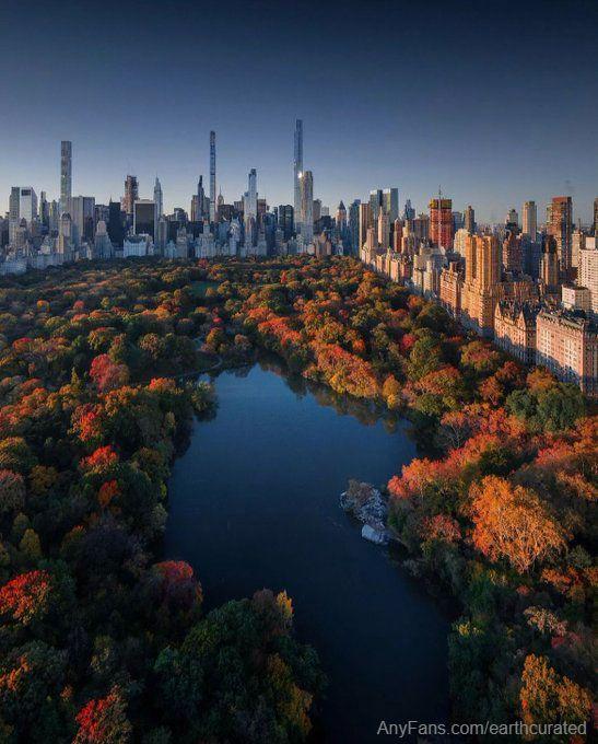 Central Park, New York 🍂