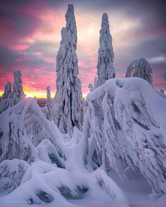 Frozen sunrise, Swedish Laplan